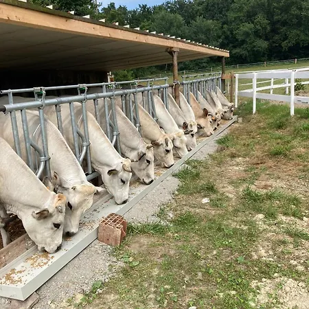 Alloggio per agriturismo La Fornace Centro Ippico