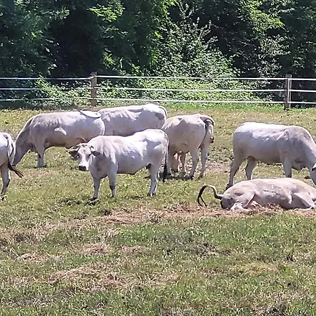 Vakantieboerderij La Fornace *