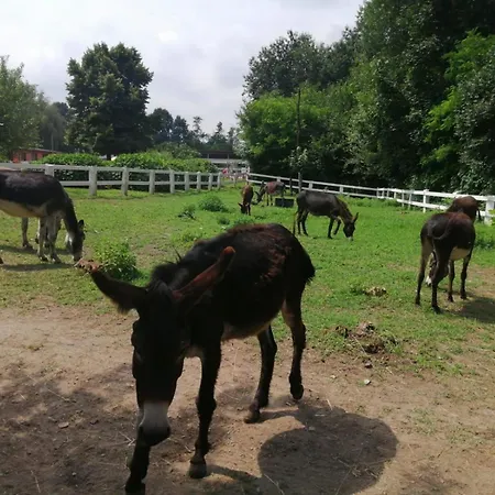 La Fornace Centro Ippico