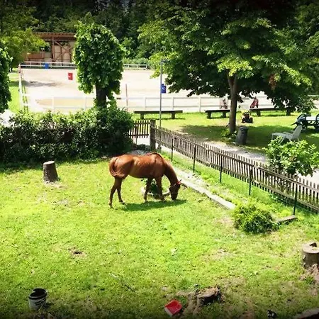 La Fornace Centro Ippico * Como