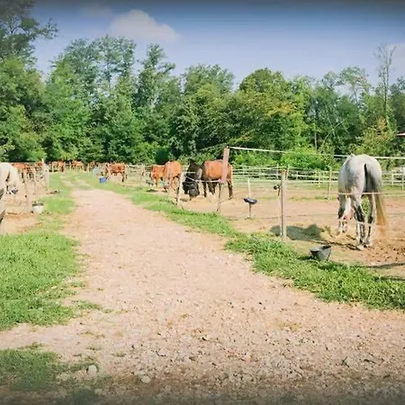 Alloggio per agriturismo La Fornace Centro Ippico Côme