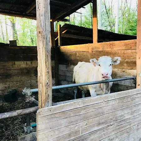 La Fornace Centro Ippico コモ