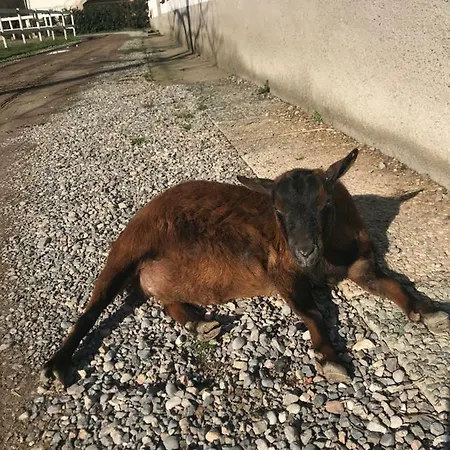 Alloggio per agriturismo La Fornace Centro Ippico