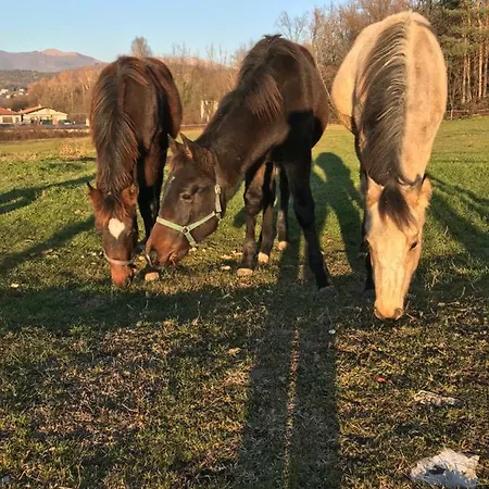 La Fornace Centro Ippico Alloggio per agriturismo Côme