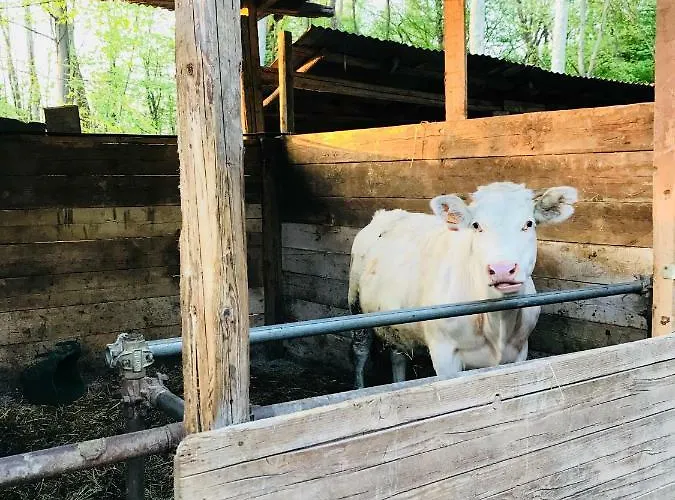 La Fornace Centro Ippico Como