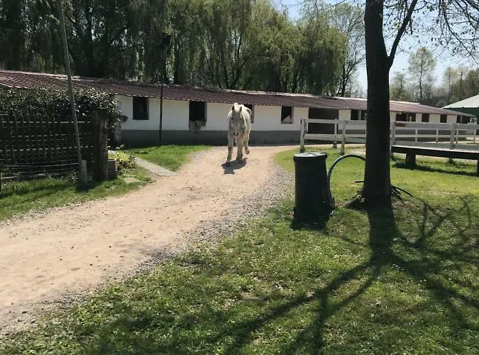 Alloggio per agriturismo La Fornace Centro Ippico Côme