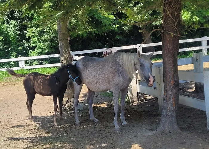 La Fornace Centro Ippico Фермерский дом