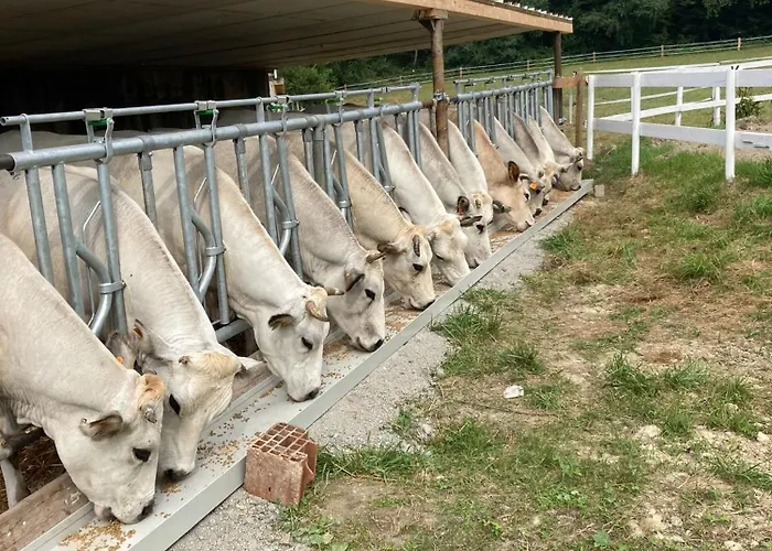 Фермерский дом La Fornace Centro Ippico