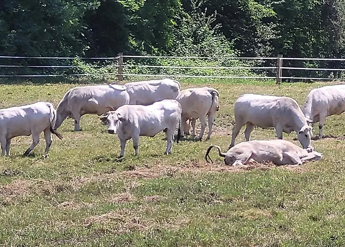 Фермерский дом La Fornace Centro Ippico *