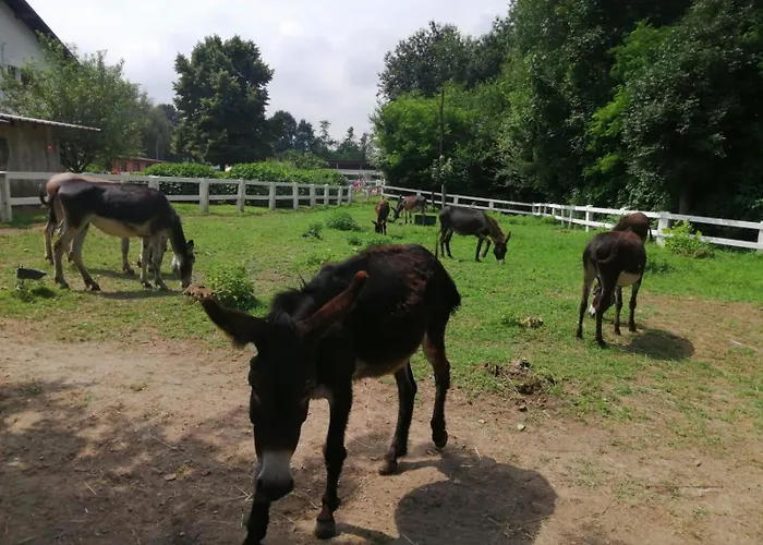 La Fornace Centro Ippico