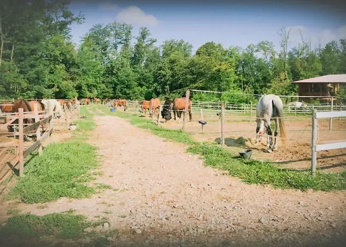 Фермерский дом La Fornace Centro Ippico Комо