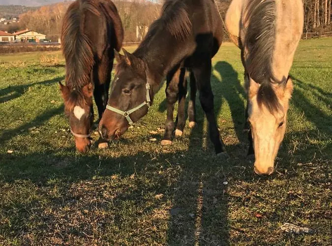 La Fornace Centro Ippico Фермерский дом Комо